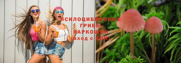 метадон Алексеевка